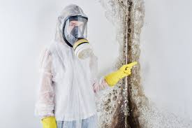 Best Mold Remediation for Healthcare Facilities  in Mayville, WI